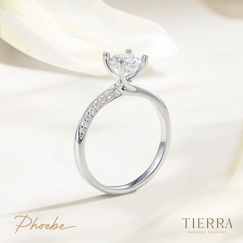 Nhẫn cầu hôn bạch kim kim cương Trellis Phoebe NCH1416 - Holding You